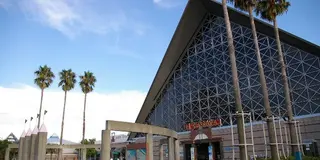 須磨は海水浴だけじゃない！須磨海浜水族園のウミガメに餌をあげよう！