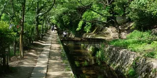 哲学の道を散歩する