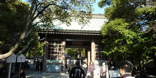 鎌倉でハイキングをして自然を感じよう（葛原岡・大仏コース）