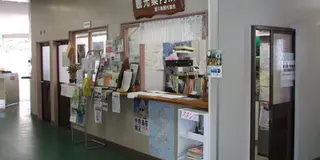 女の一人旅にはもってこい！パワースポット屋久島！