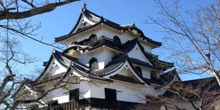 現存12天守の一つ彦根城へ行く