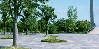 チャリで清澄白河・深川