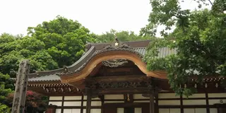 調布の王道！深大寺蕎麦と飛行機カフェ