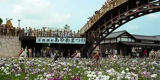 水郷の街　潮来（いたこ）巡り
