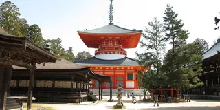 和歌山初日プラン１