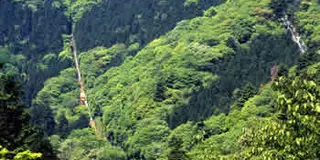 初心者ならまずは高尾山！