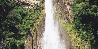 ある日　ふっと　世界遺産の熊野に出かけたくなった。日本人のDNAを呼び覚ます熊野三山！