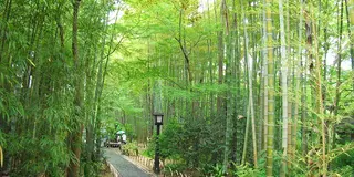 雨の修善寺 温泉街を歩く