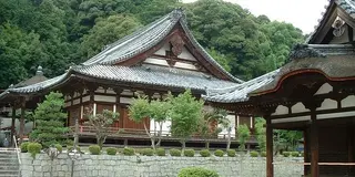 大阪南部のお寺で楽しいお参りを…！