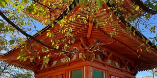広島ひとり旅〜宮島編〜