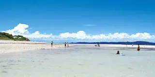 【日帰り】石垣島弾丸旅行！レンタカーなしで楽しむモデルプラン
