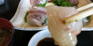 小さな半島をぐるっと一周！真鶴ウォーク！