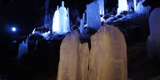 山梨の夏を楽しもう！富士山・富士五湖編