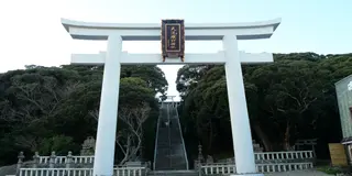 【茨城県】あんこう鍋に明太子！大洗の海鮮グルメツアー🐟