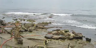 知床半島羅臼にある温泉観光名所♪