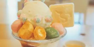 のどぐろ！白エビ！寒ぶり！美術館！初めての富山旅