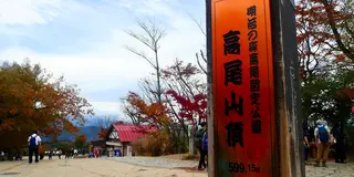 【東京】高尾山に初心者コースで登山してきた⛰️♪景色もグルメも堪能できる日帰り女子旅