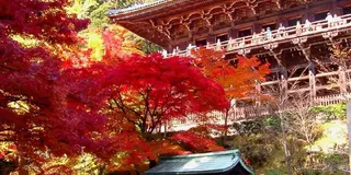 西の清水寺を満喫。ゆるりハイキング