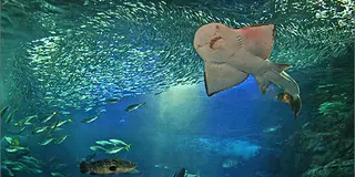 江ノ島でまったりデート！