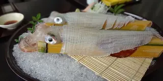佐賀はおいしいものがたくさん。呼子のイカを食べに行こう！
