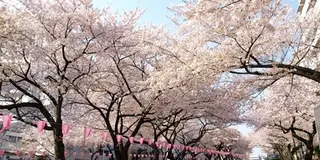 東京で意気揚々と歩ける場所①茗荷谷〜上野