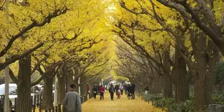 失恋した男性向け★心を癒して次の恋を探す1day！