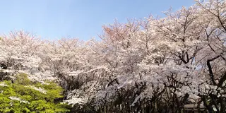 【2022年5月29日放送分】フジテレビ「なりゆき街道旅」で紹介されたお店【王子】