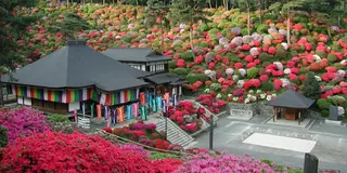 日帰り奥多摩自然満喫の旅