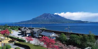 旬の鹿児島