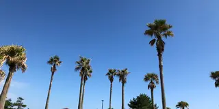 【宮崎ステイケーション】in 一ッ葉