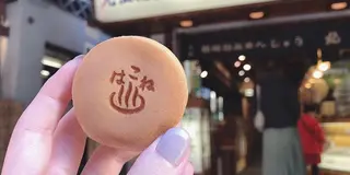【一泊二日】自然とアートに癒される！箱根大満喫プラン♨️