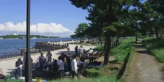シーパラ夜プラン
