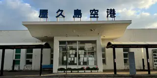 屋久島レンタカー旅🚗主要な見どころを1日で巡るおすすめプラン