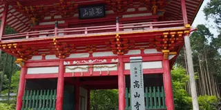 京都市動物園と京都三尾旅行