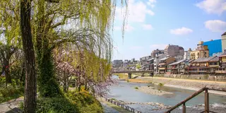 大満喫✈️京都旅