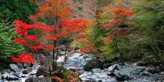 曜日限定！２００円で行くローカルバス＆さんぽ旅（火曜日編）渓谷と自然水、山の駅で一休み
