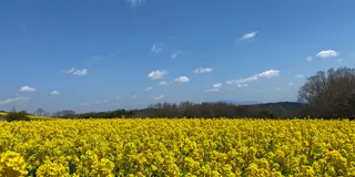 淡路島北部〜垂水を1日ドライブ