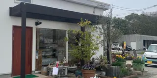 ランチがてらお花見🌸