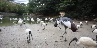 ネオパーク沖縄おすすめスポット