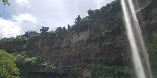 【西表島】ピナイサーラは絶対🙊
