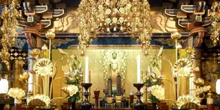 イベント鑑賞