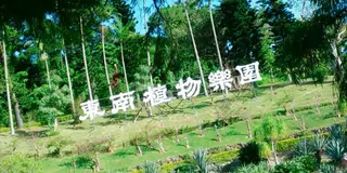 中部『東南植物楽園』で南国満喫プラン