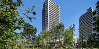 【2022年12月18日放送分】フジテレビ「なりゆき街道旅」で紹介されたお店【表参道】
