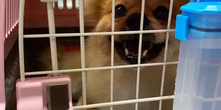 沖縄ﾏﾛﾝU´•ﻌ•`Uと御用事ですが、ちょとだけ行きたたかった場所へ。6月編10泊