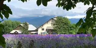 【1泊2日】星が綺麗なキャンプ場に泊まる🏕ラベンダーの町・富良野へ