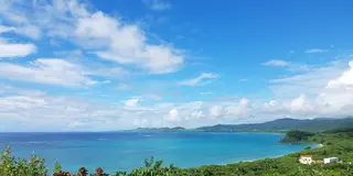 【石垣島】マンタに会いに行こう❣️
