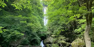 【岡山県】高梁・新見・真庭を満喫する1泊2日ドライブ旅🚗✨！