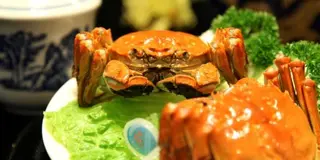 《中国・上海編》食欲の秋に上海蟹を食べに行こう🦀CAと巡る上海１泊2日旅！