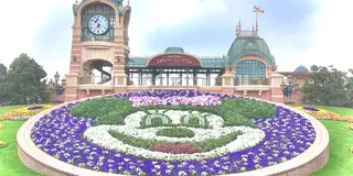 《中国・上海編》上海ディズニーランドは想像以上に夢の国🦄CAと巡る上海１泊2日旅！