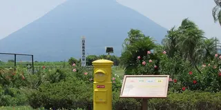 春を先取り！開聞岳堪能ハイキング♪